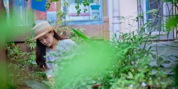 花店行业千亿级细分赛道,花艺行业的上下游产业有哪些