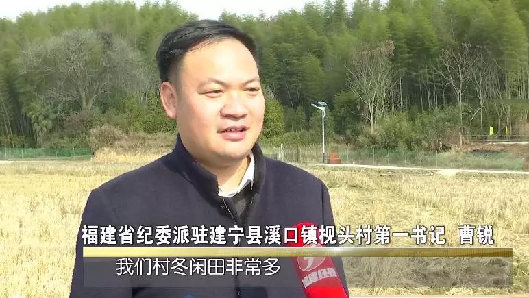 丰收土豆节,丰收节土豆