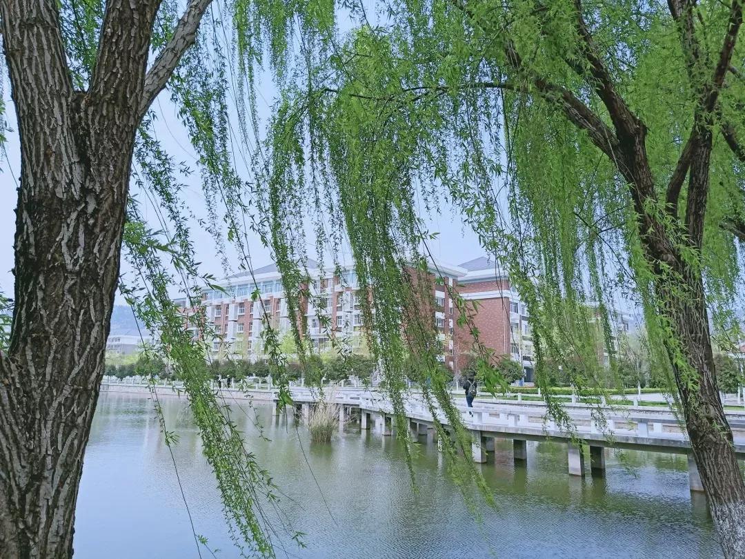 安徽省淮北师范大学录取分数线,安徽淮北十四中