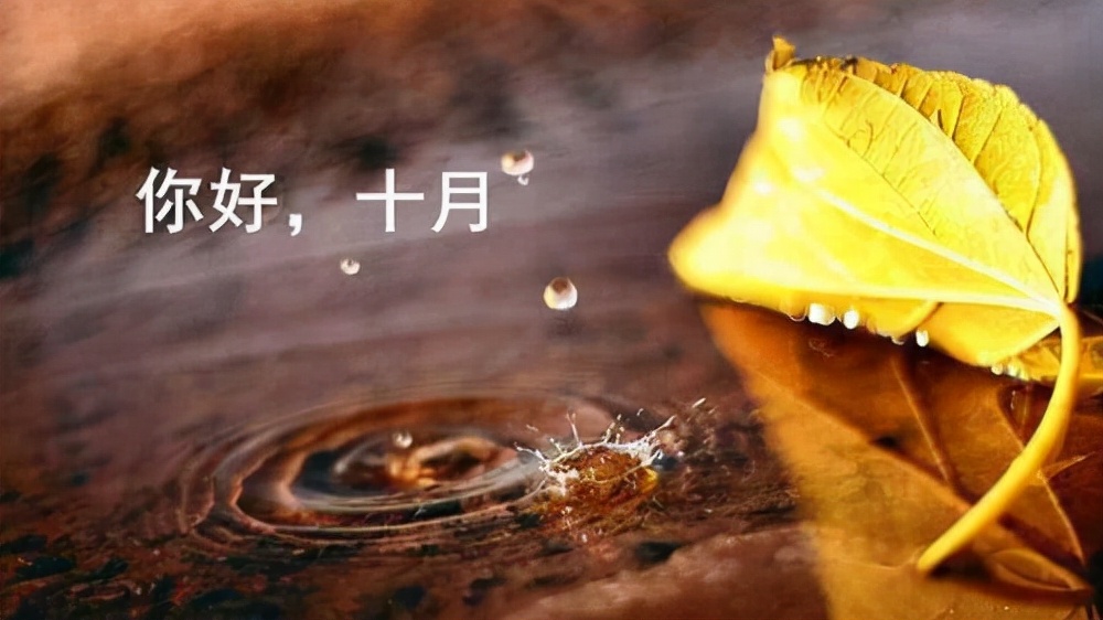 美好的十月即将启航,美好的十月