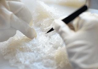 燕窝的小碎毛挑不干净,燕窝怎么挑粘在上面的毛