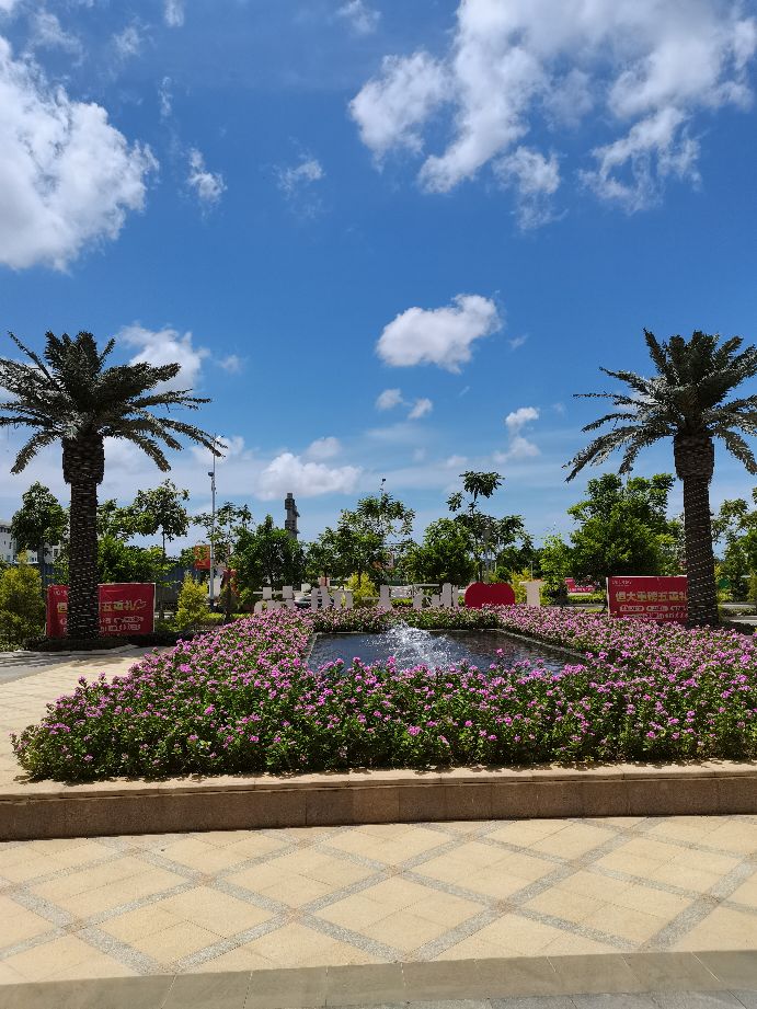 曲江新鸥鹏属于哪个地产公司,北海曲江新鹏城房价