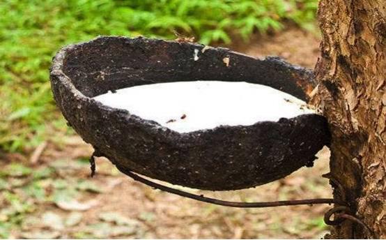 中国人去泰国买东西收小费,中国游客泰国买玉石