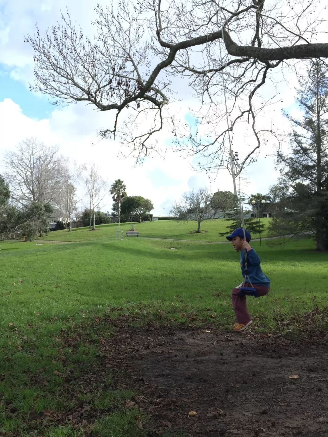 漫话新西兰,漫话新西兰漫画