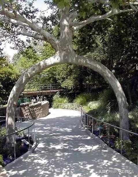 最新世界十大“怪”,最后一个太绝了!