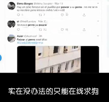 已经遛我38次了！西班牙限行后，主人为了出门把狗都遛瘫了