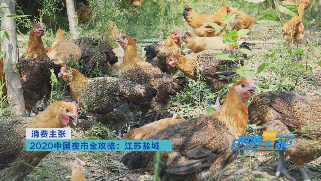 来越夜越精彩的江苏盐城,体验地道苏北人情苏北味