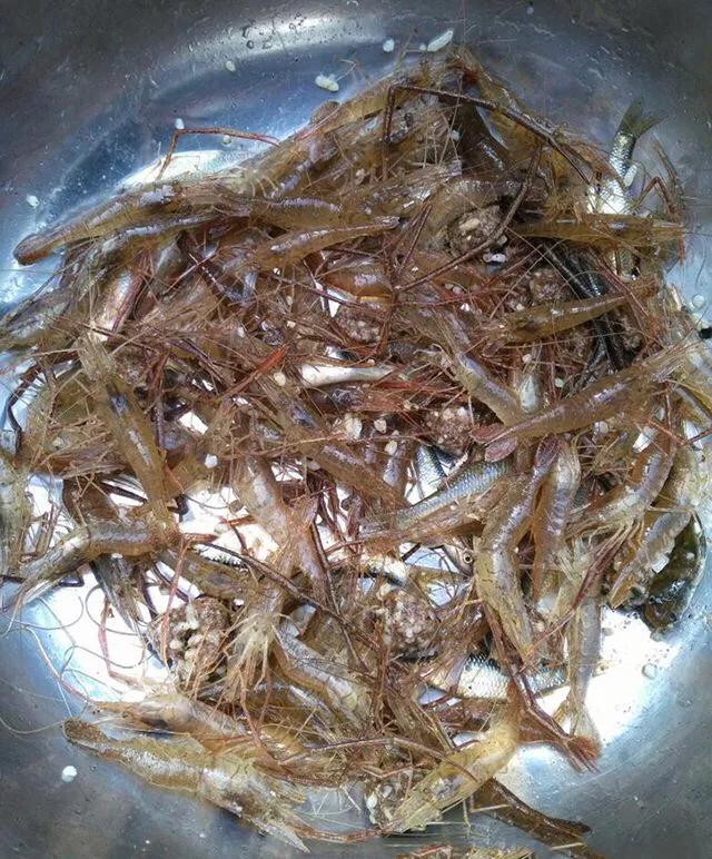 副竿钓鱼用什么饵最好,野钓用饵口诀记住必爆护