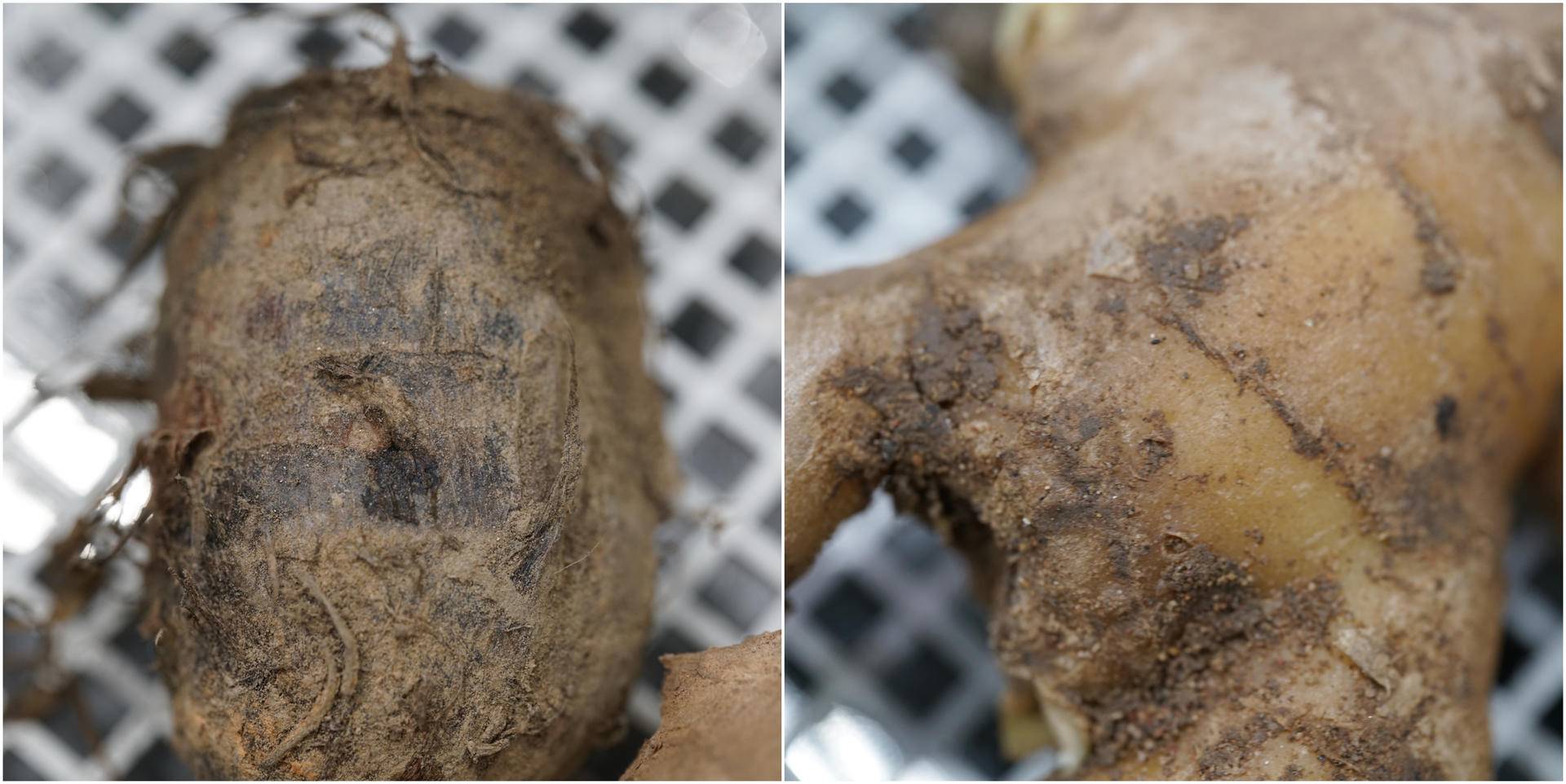 方太洗碗机的研究目的,方太洗碗机水槽ct03bl和ct03b