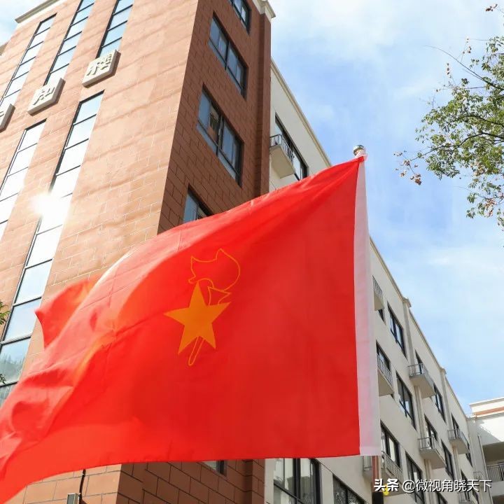 信阳市羊山外国语学区,羊山外国语小学信阳