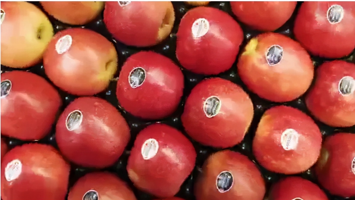 展会圆满落幕下届再见,展会圆满落幕2019