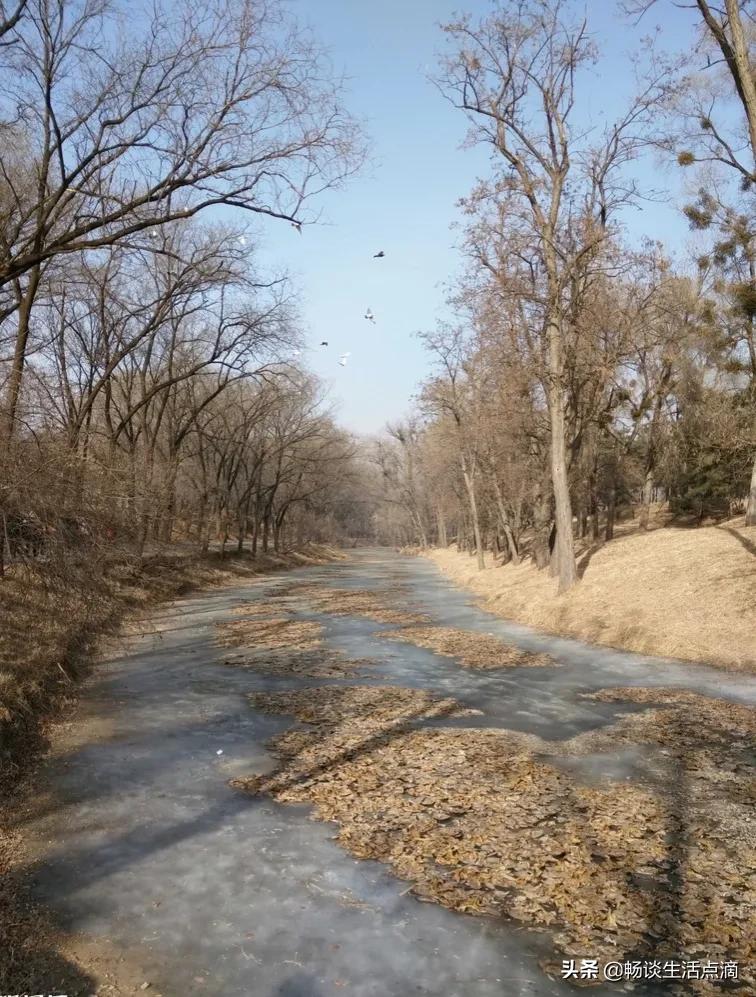 关于立冬大风的谚语,立冬刮大风啥兆头