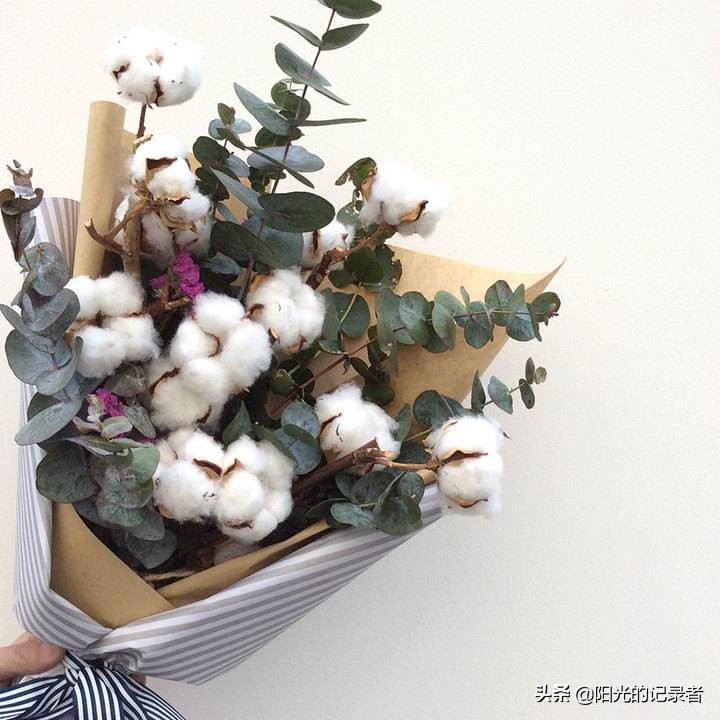 520简短浪漫花语是什么,520朵玫瑰的浪漫花语