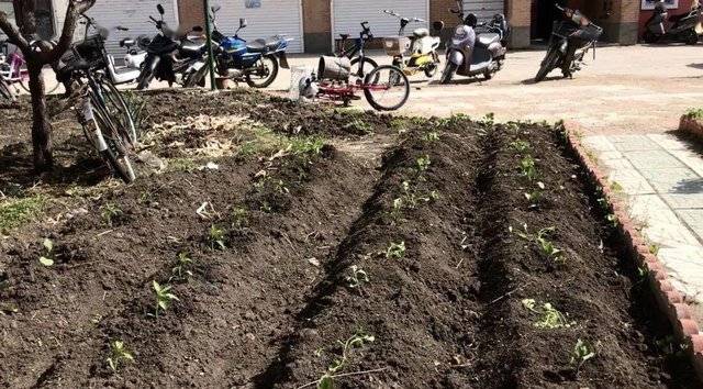 涓存矀鍏板北涓鲸闃冲厜璞涵鍥涘涓ゅ巺,鍏板北涓鲸闃冲厜璞涵