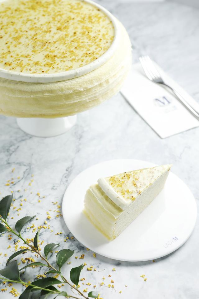 ladym上海新店,ladym厦门店