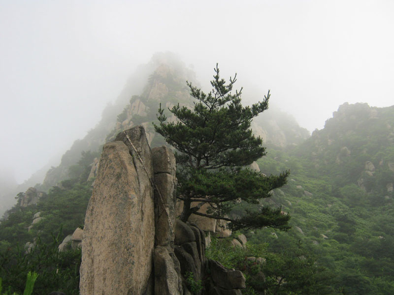 山东栖霞艾山图片,山东蓬莱艾山