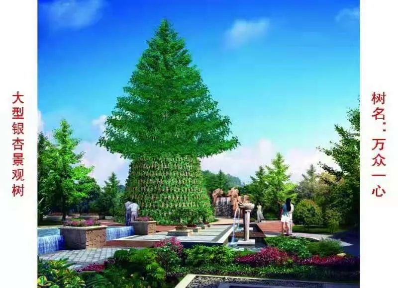 这种银杏不仅秋季金叶，春季叶色也是金黄