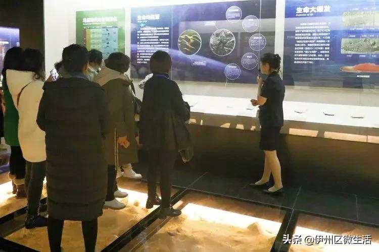 走进巴州博物馆,走进新疆博物馆