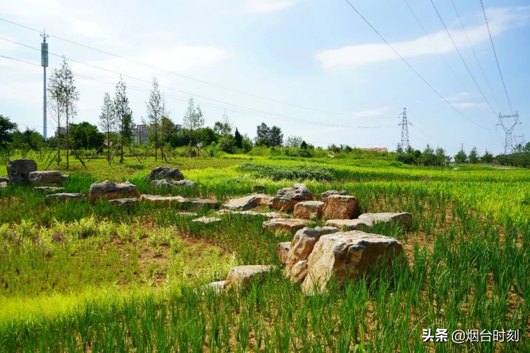 兰州民生工程最新进展,重点民生项目进展清单