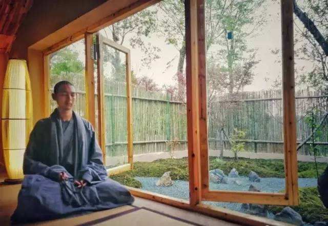 lily的父母,lily英语优势和缺点