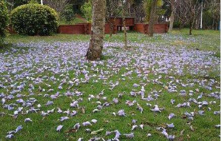 长春市各个区今天新增情况,长春有最新新闻吗