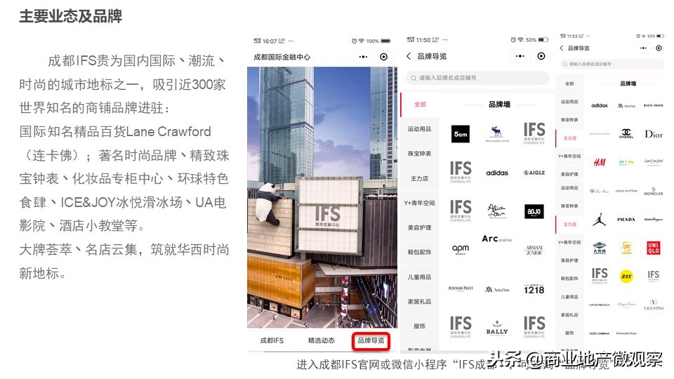 在成都看ifs熊猫,成都ifs上的爬墙大熊猫