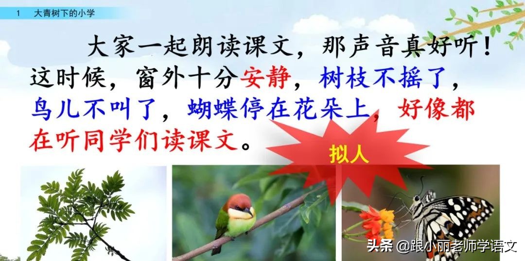 大青树下的小学重要背诵内容,大青树下的小学重点知识点