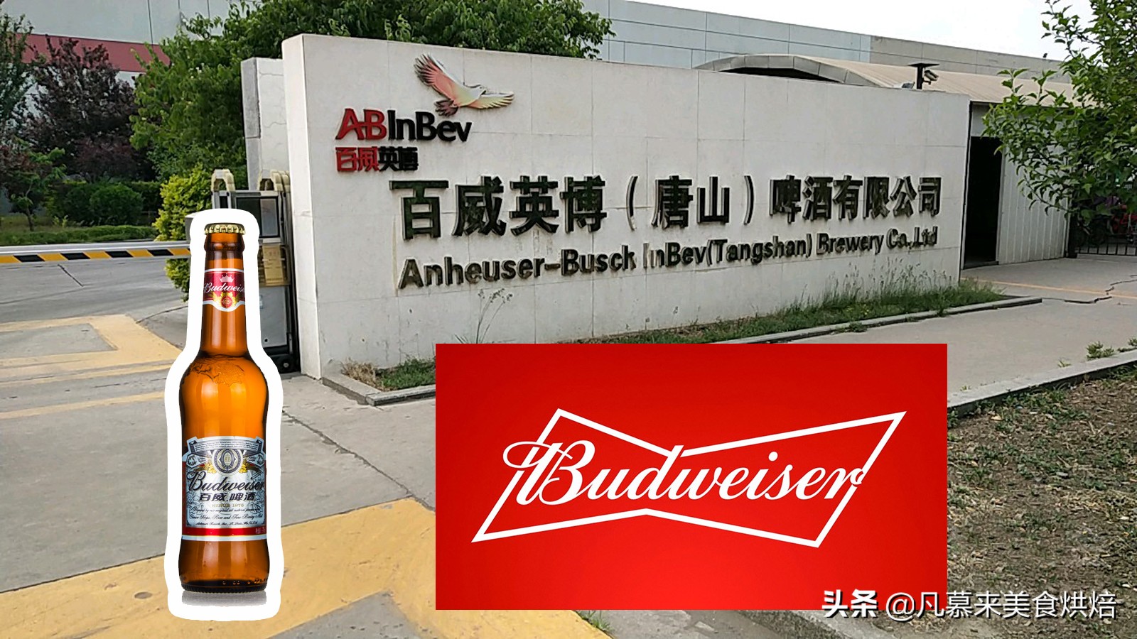 河北现在什么啤酒好喝,河北人都喝什么酒