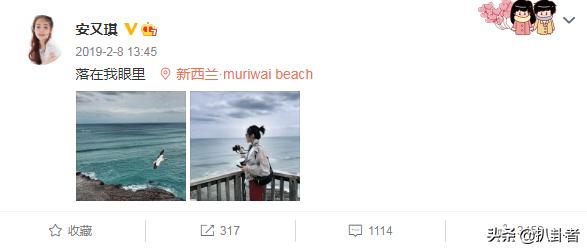 乘风破浪的姐姐安又琪黄晓明,安又琪和黄晓明对话