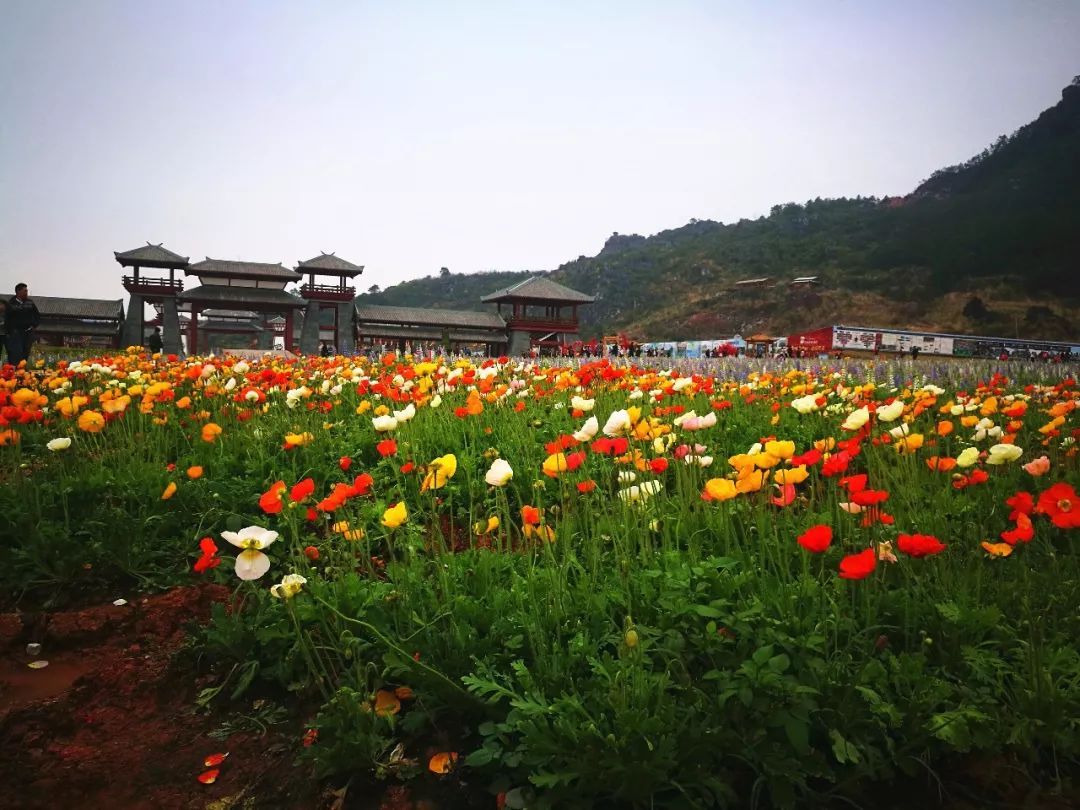 玉林宜居城市,玉林小县城风景