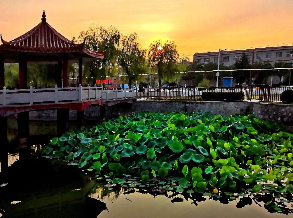 延津黄河故事,延津古黄河