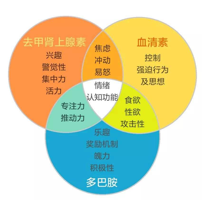 抑郁症能完全治愈不再复发吗,抑郁症能彻底治愈吗容易复发吗