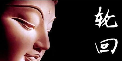 最强大脑智力挑战人类智商天花板,最强大脑神奇算法