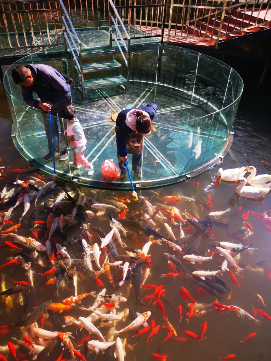 端午去哪玩昆明,暑假自驾游攻略昆明天气