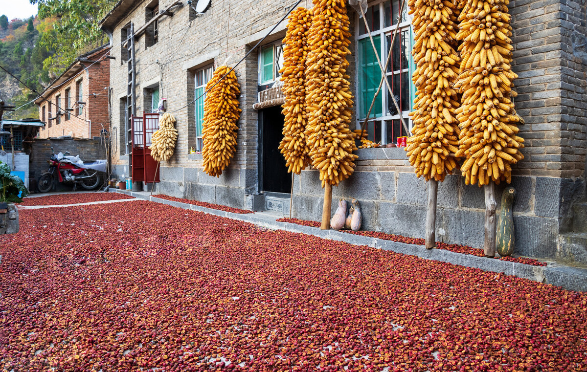 散文寻一处静谧,独居山林的隐居生活散文