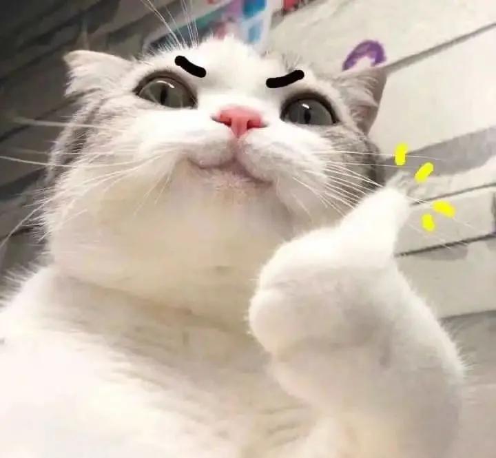 成都天府新区网红学校,实地探访成都最牛小学