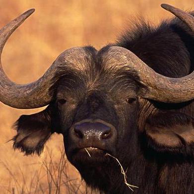 43种躺着赚钱的方法有哪些,继续赚钱的7种方法