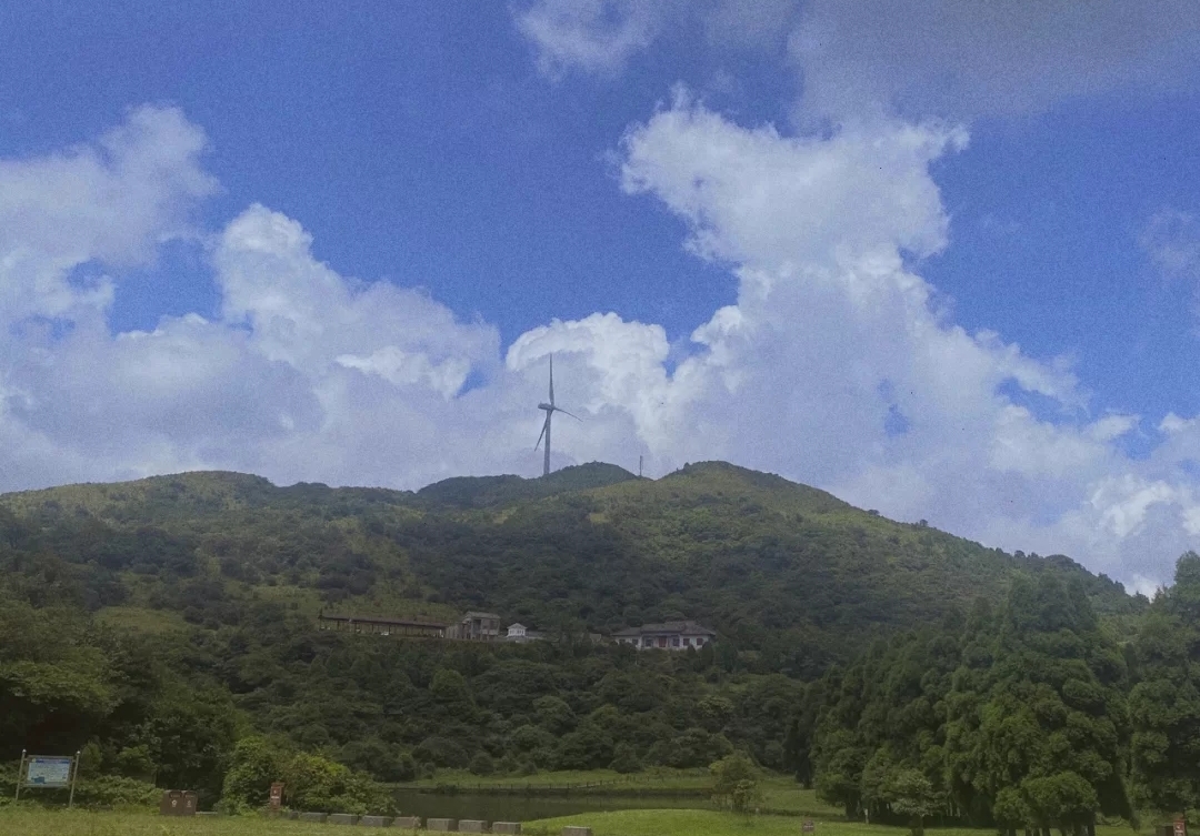 广西大容山森林公园露营,大容山露营三个露营点的区别