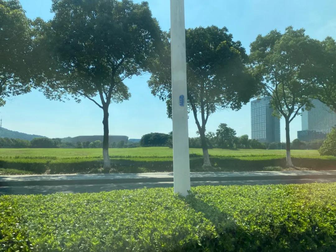 苏州是长三角的洼地吗,苏州最有潜力的地段