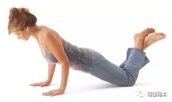 正确的24个四柱瑜伽动作,瑜伽四柱支撑小技巧