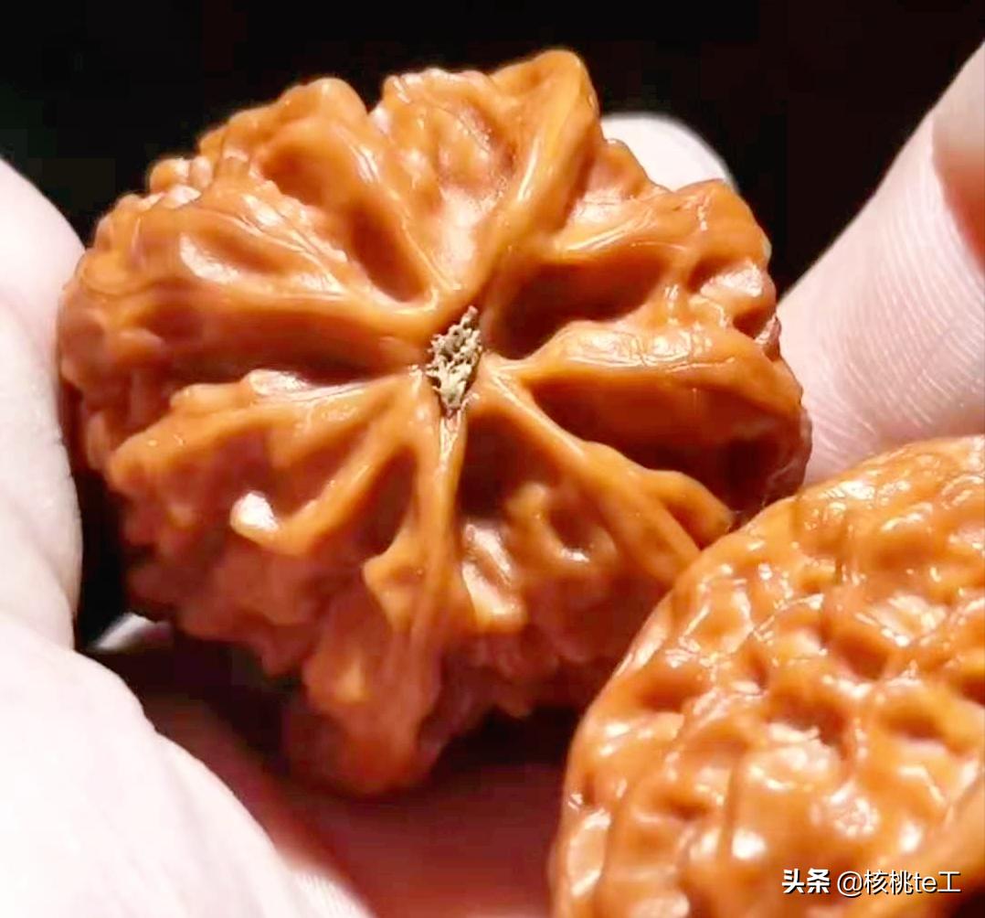 龙骨鸡心核桃是什么品种,文玩核桃鸡心属于什么品种