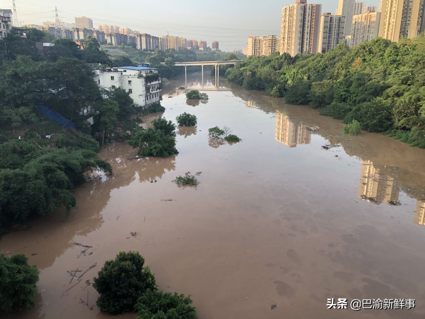 重庆巴南鱼洞这条街有点怪,一边是高楼大厦,一边是旧房
