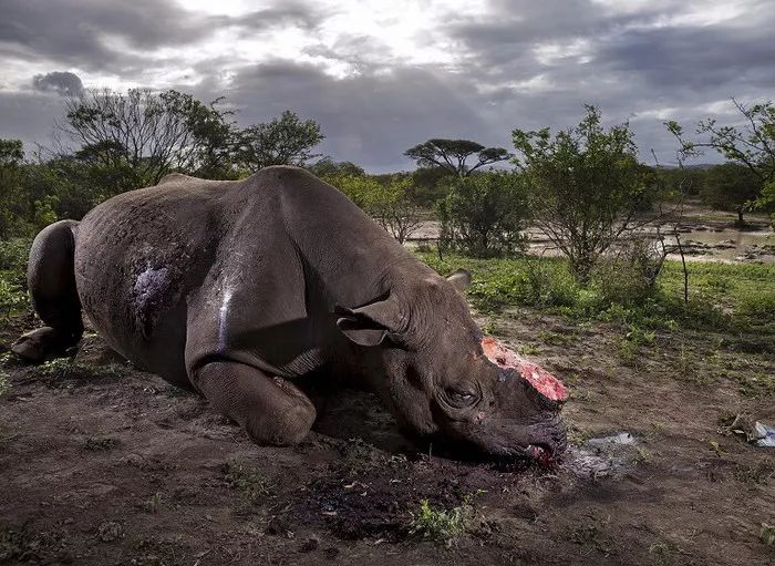 文玩的十大黑幕,文玩最让人无奈的六件事