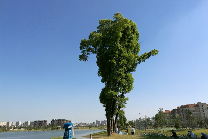 汉南商业圈位置,汉南离哪个商圈比较近