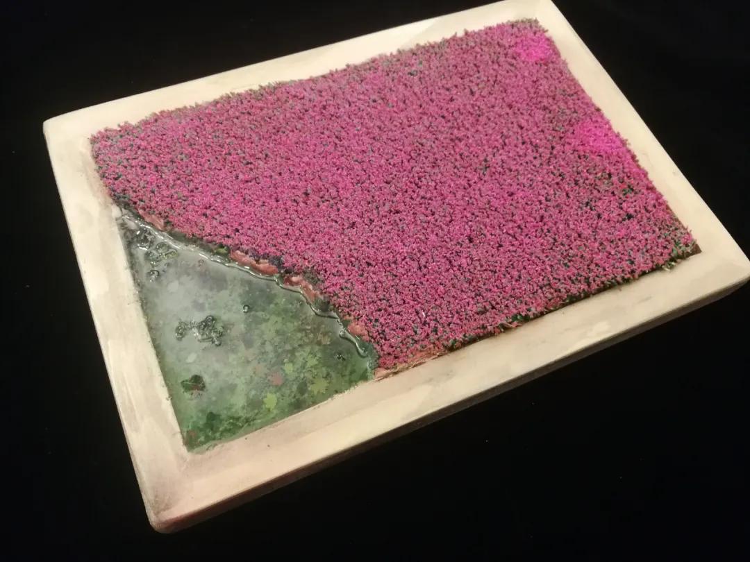 德国女兵吃饭视频,二战德国女兵的视频