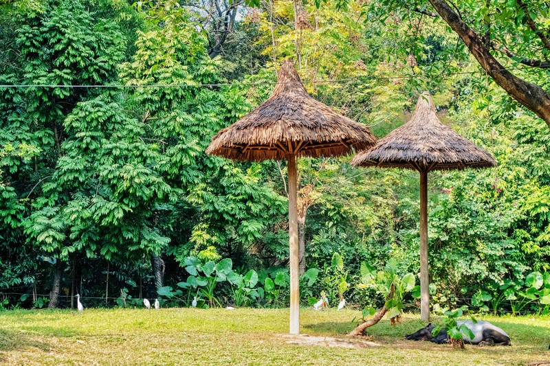 玩转广州长隆野生动物世界之行,广州长隆动物世界游玩攻略图