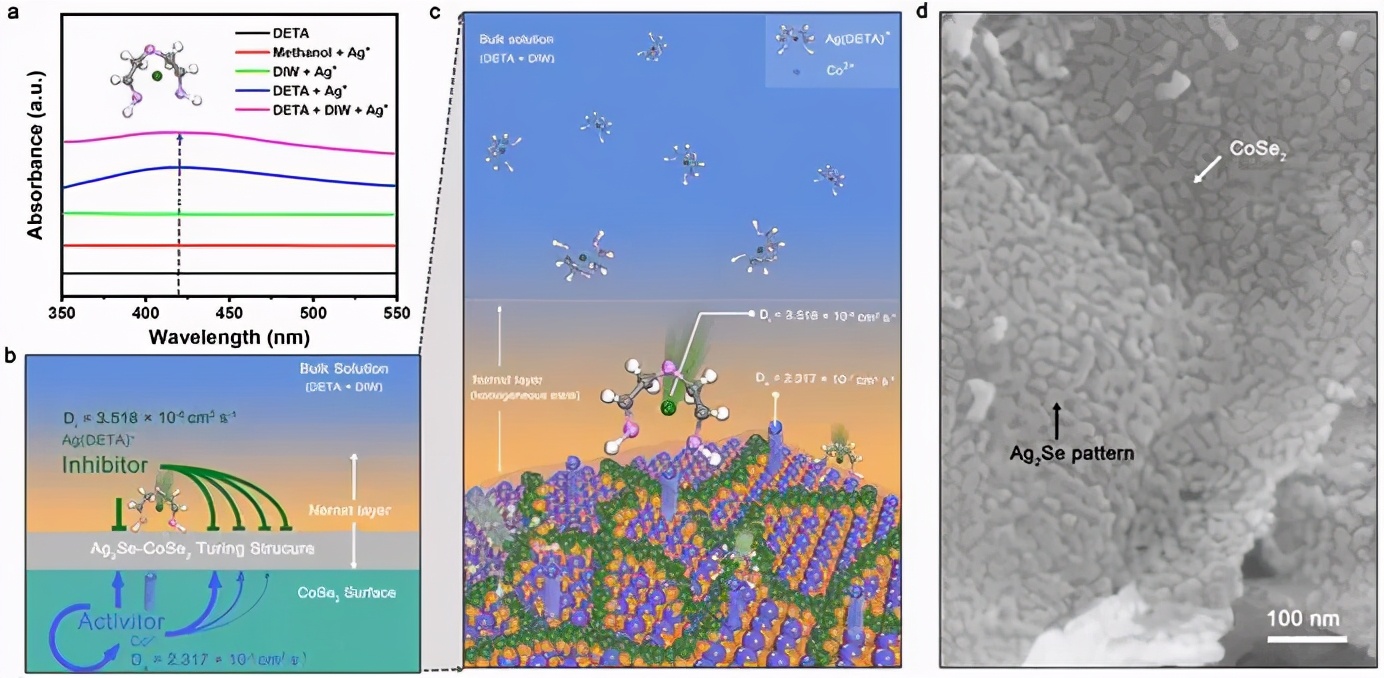 中国科学技术大学丨近期科研成果速览（下）