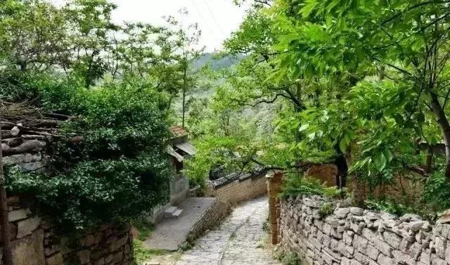 潍坊周边的城市有什么好玩的景点,潍坊周边200公里内游攻略