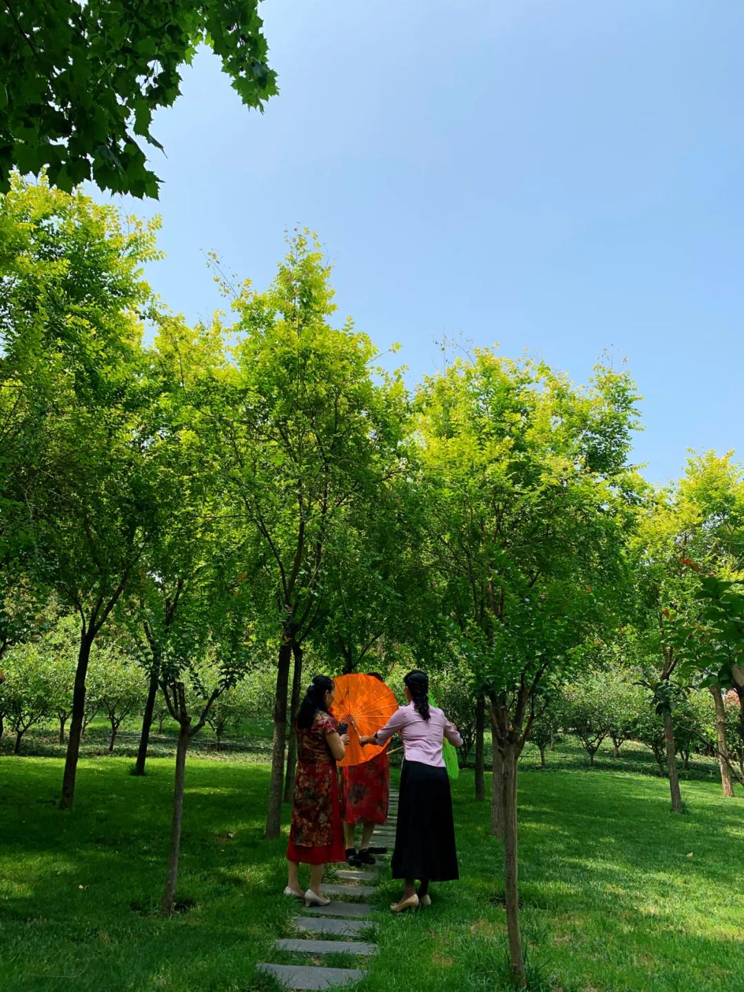 打卡郑州雕塑公园！在这里去感受人与自然，遇见不一样的郑州