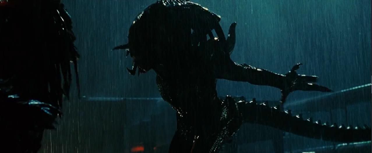 铁血战士系列解析,铁血战士形态全部解析